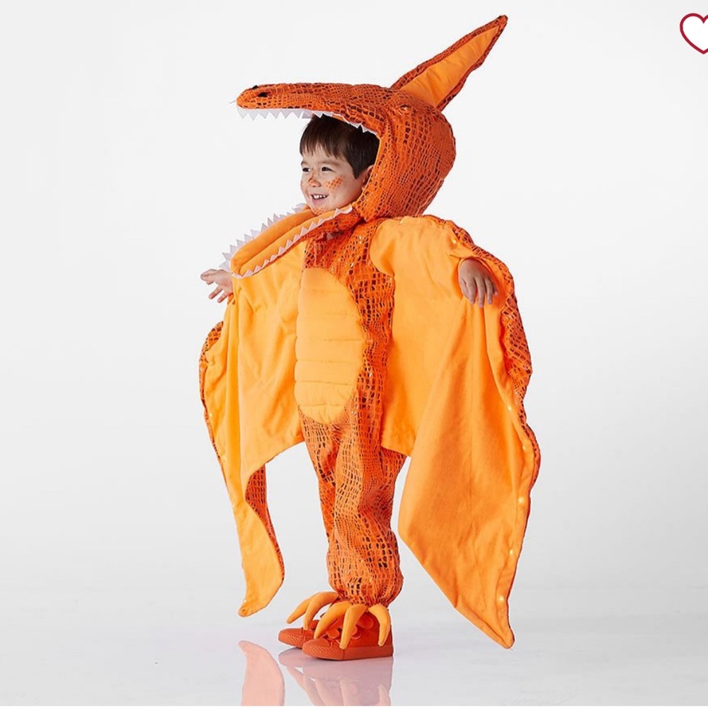 Pottery Barn Kids Vibrant Orange Pterodactyl Costume